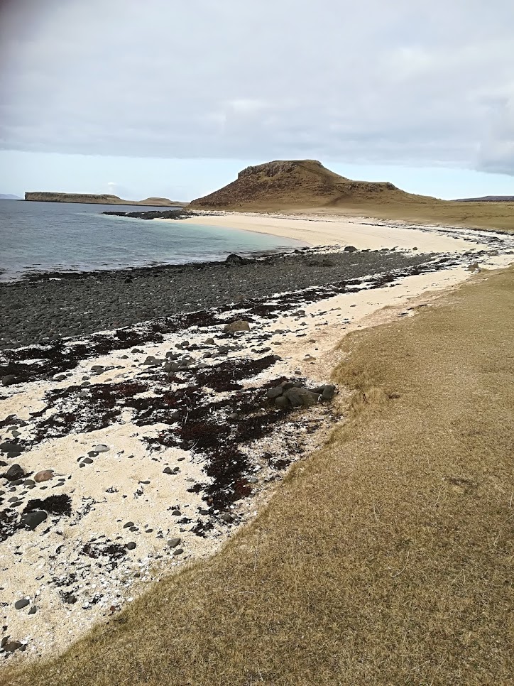 Coral beach